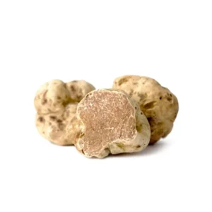 Trufa blanca  Biancheto (Tuber Borchii Vitt.) fresca lavada